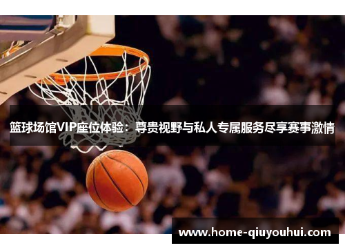 篮球场馆VIP座位体验：尊贵视野与私人专属服务尽享赛事激情