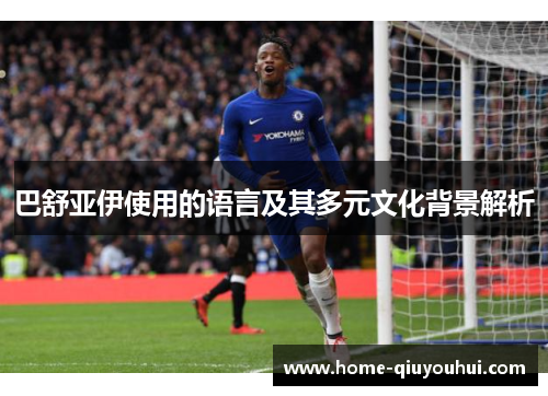 巴舒亚伊使用的语言及其多元文化背景解析